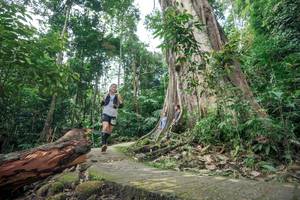 BIB: 
                            <button type="button" onclick="openModal(24809743)" class="btn btn-primary btn-sm float-right btn-popup" data-toggle="modal" data-target=".modal-high-quality">
                        <i class="fas fa-shopping-cart"></i> Add to Cart
                    </button>
                                            <button type="button" onclick="isThisMe(24809743, true)" class="btn btn-success btn-sm float-right btn-popup btn-isme hidden" data-toggle="tooltip" data-placement="bottom" title="นี่คือรูปของคุณใช่ไหม คลิกที่นี่เพื่อเอาเข้าอัลบั้ม">
                        <i class="fas fa-plus"></i> Add to album
                    </button>
                    <button type="button" onclick="isThisMe(24809743, false)" class="btn btn-warning btn-sm float-right btn-popup btn-isnotme hidden">
                        <i class="fas fa-ban"></i> Remove from album
                    </button>